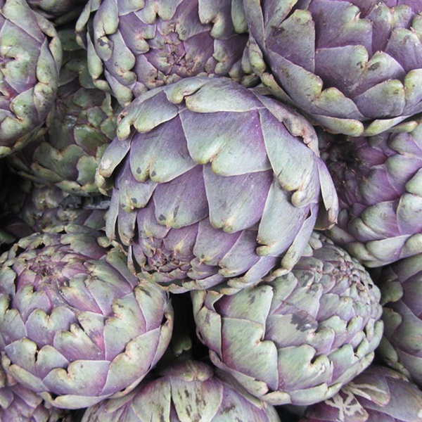 Photo de produit pour Artichauts blancs