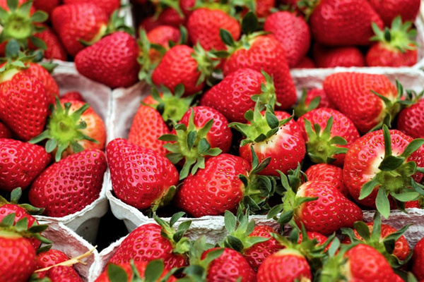 Produktfoto zu Erdbeeren 500g, regionale Ernte