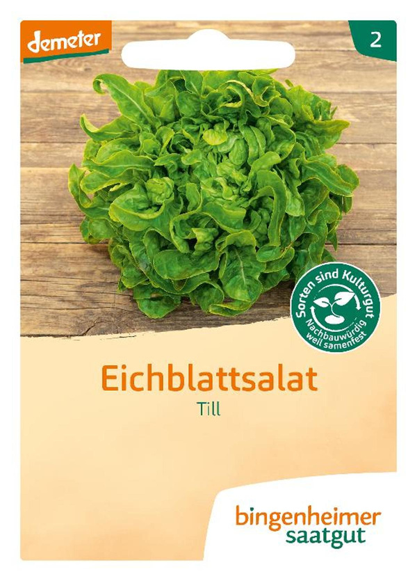 product photo for Picking lettuce oak leaf seed