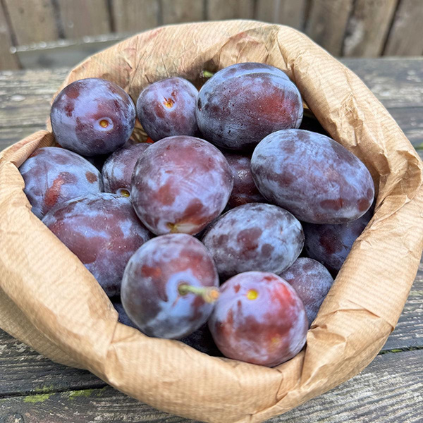 product photo for 1 kg plums