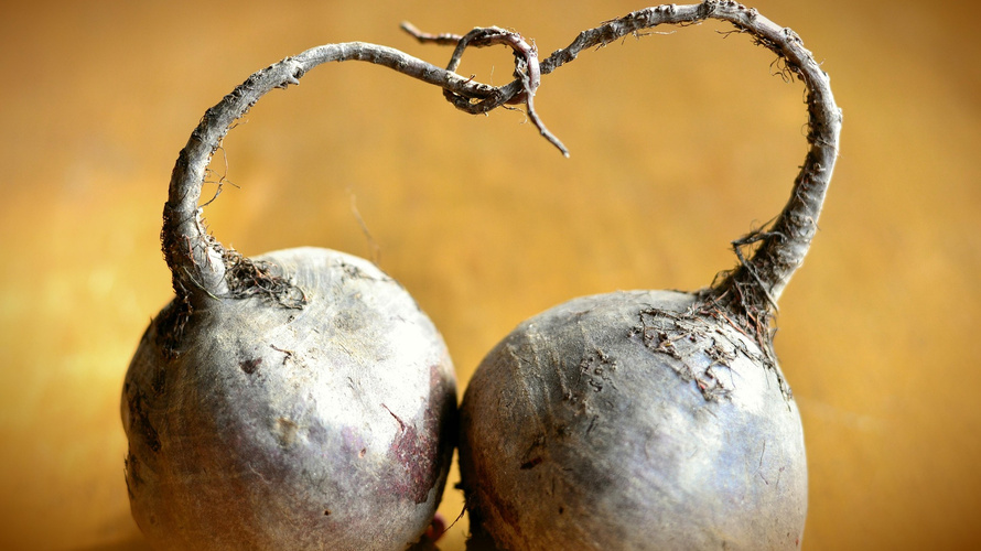 Rezeptbild für Schwarzwurzeln mit rote Bete-Püree