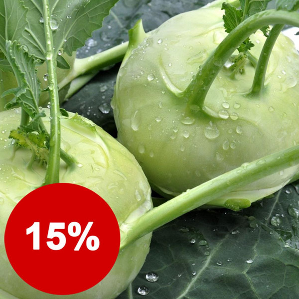 product photo for 3 pieces kohlrabi