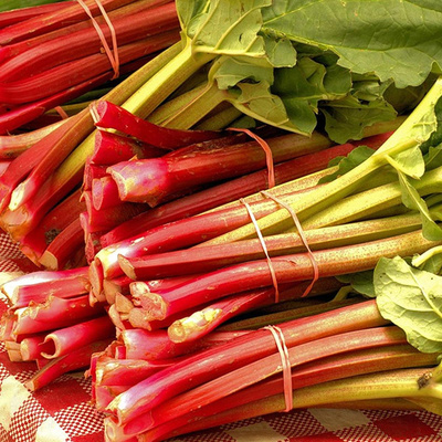 Produktfoto zu 1 kg Rhabarber, regionale Ernte