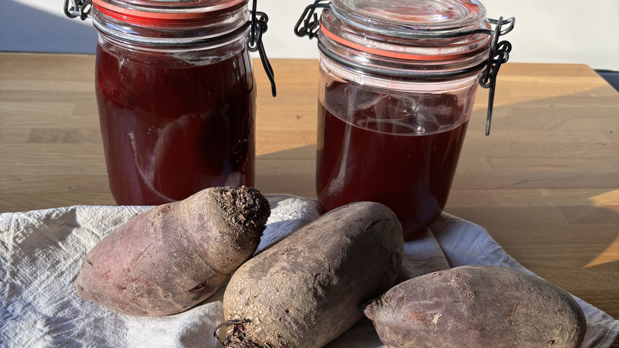 Rezeptbild für eingemachte rote Bete