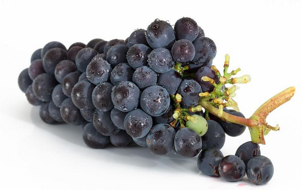 Photo de produit pour Raisin, bleu