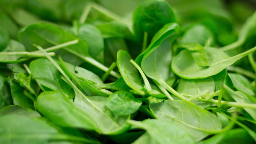 Rezeptbild für Spinatkartoffeln