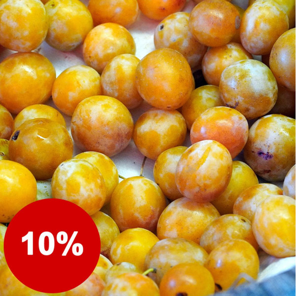 Photo de produit pour 1 kg de mirabelles
