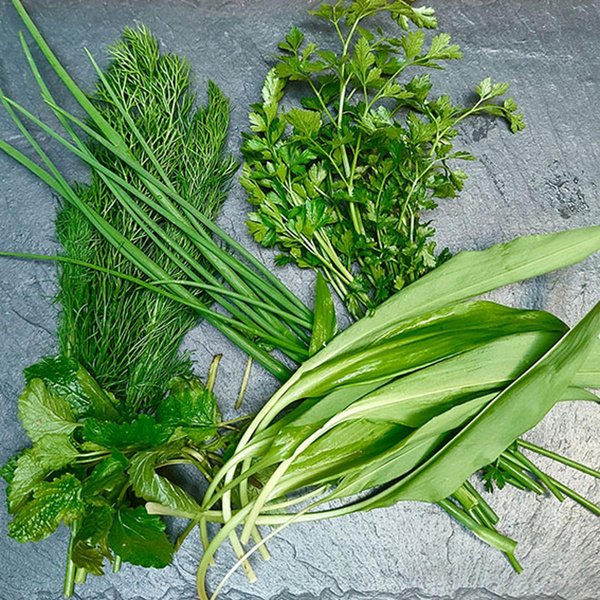 Produktfoto zu Salatkräuter Mix, circa 25g