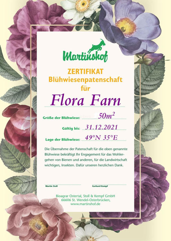 product photo for Flowering meadow sponsorship 50sqm