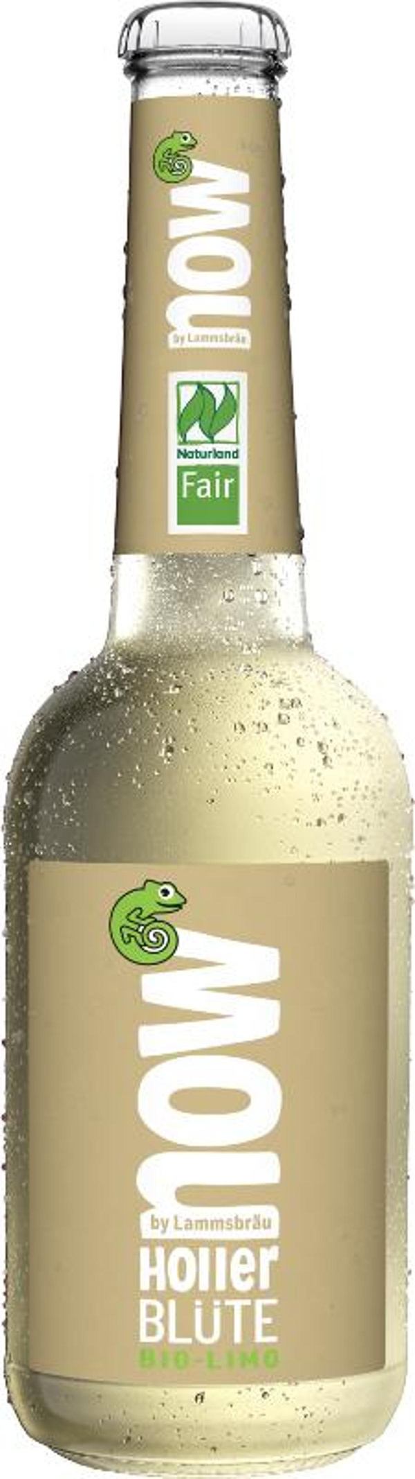 Photo de produit pour maintenant - Holler Blossom