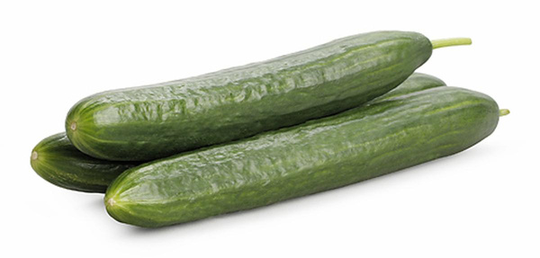 Produktfoto zu Schlangengurken "Arola"