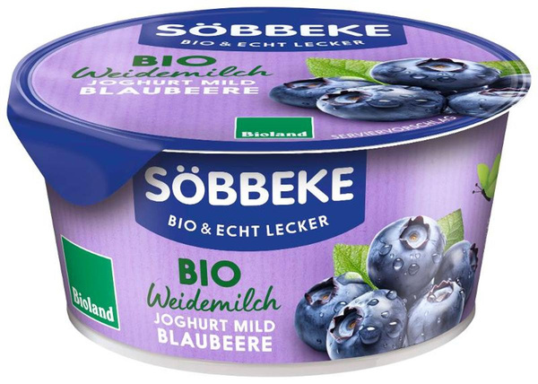product photo for Blueberry yoghurt