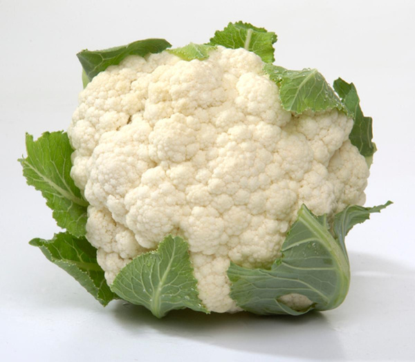 Produktfoto zu Blumenkohl weiß, regionale Ernte