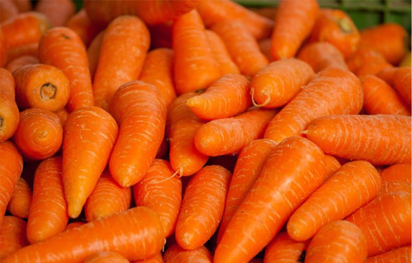 Photo de produit pour Carottes