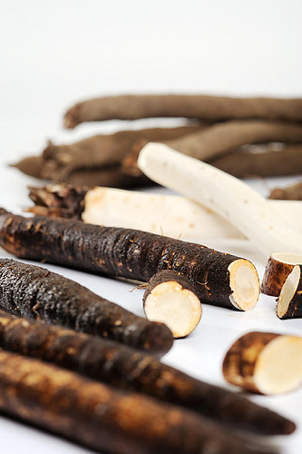 Produktfoto zu Schwarzwurzeln, regionale Ernte