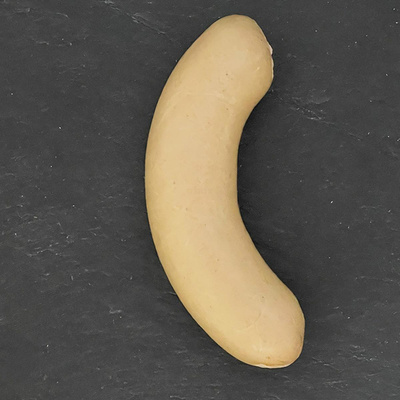 product photo for Bologna