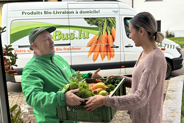 KI generiert: Eine Person übergibt frisches Obst und Gemüse aus einem Lieferwagen mit Bio-Werbung.