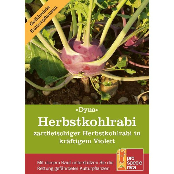 product photo for Seeds PSR autumn kohlrabi