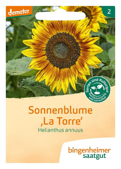 Photo de produit pour Semences Tournesol