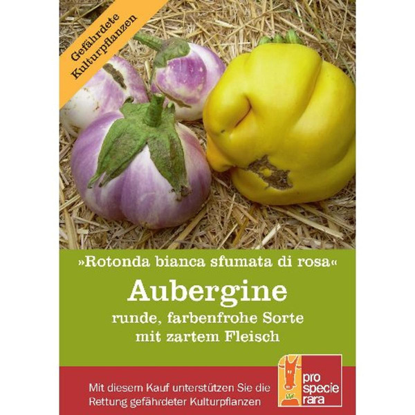 Photo de produit pour Semences ProSpecie Rara Aubergine