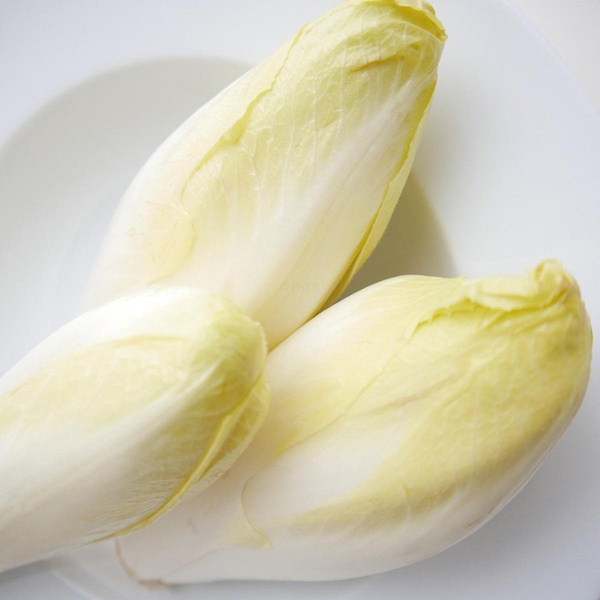 Produktfoto zu Chicorée Salat, deutsche Ernte