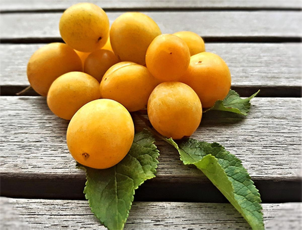 Photo de produit pour Mirabelles