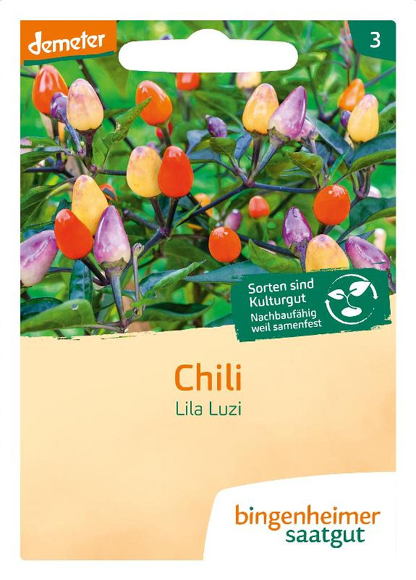 product photo for Chili Purple Luzi seeds