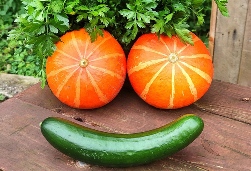 Monatsangebot Januar