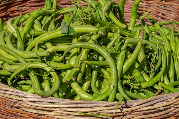 Photo de produit pour Haricots verts
