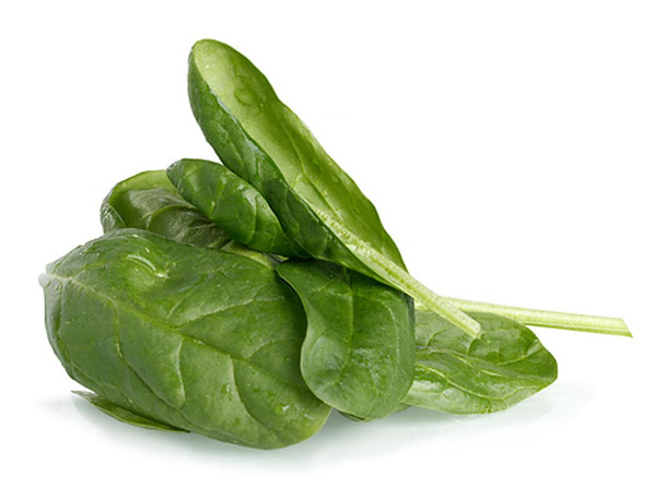 Produktfoto zu Wurzelspinat, regionale Ernte