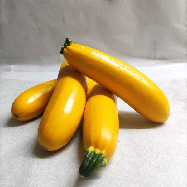 product photo for zucchini yellow