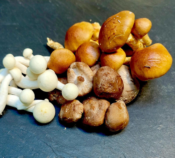 Produktfoto zu Pilz-Mix 200g, regionale Ernte