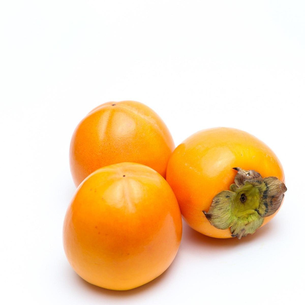 product photo for Kaki