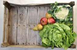 Produktfoto zu Großfamilien-Kiste