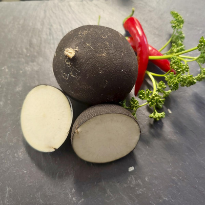 Produktfoto zu Rettich schwarz, regionale Ernte