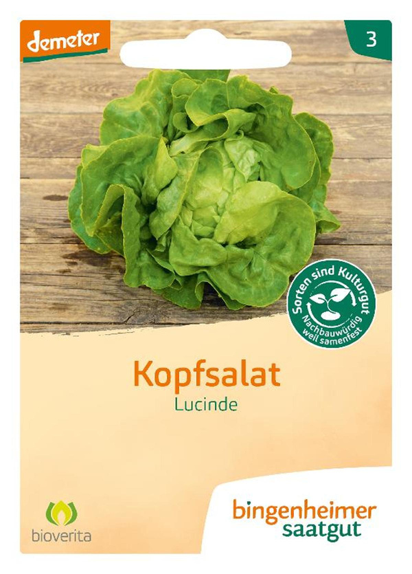 Produktfoto zu Kopfsalat Saatgut