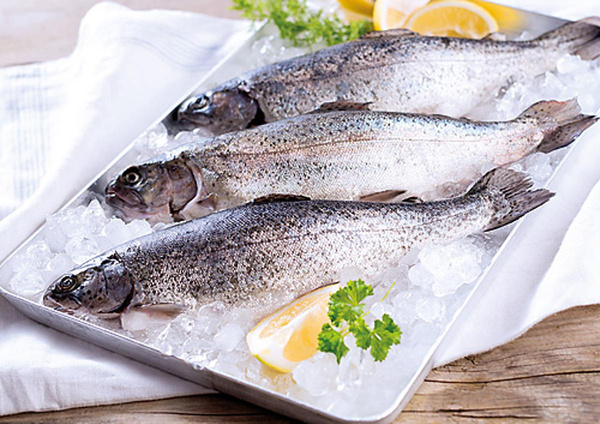 Produktfoto zu Frische Forelle