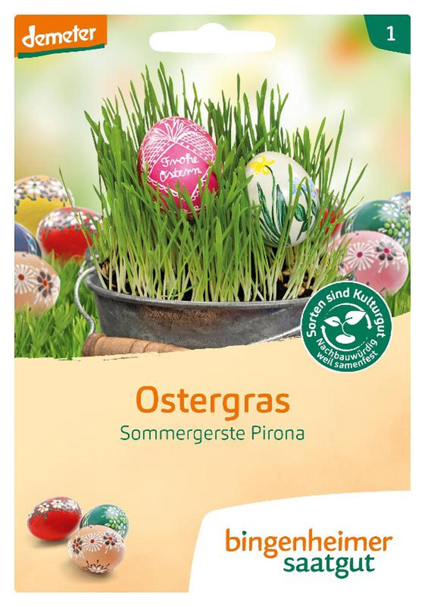 Photo de produit pour Graines d'herbe de Pâques