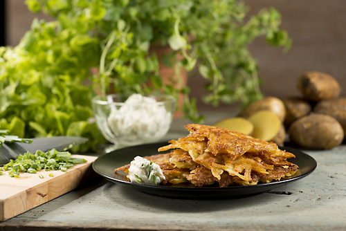 KI generiert: Ein Teller mit Kartoffelrösti, umgeben von frischen Kräutern und rohen Kartoffeln.