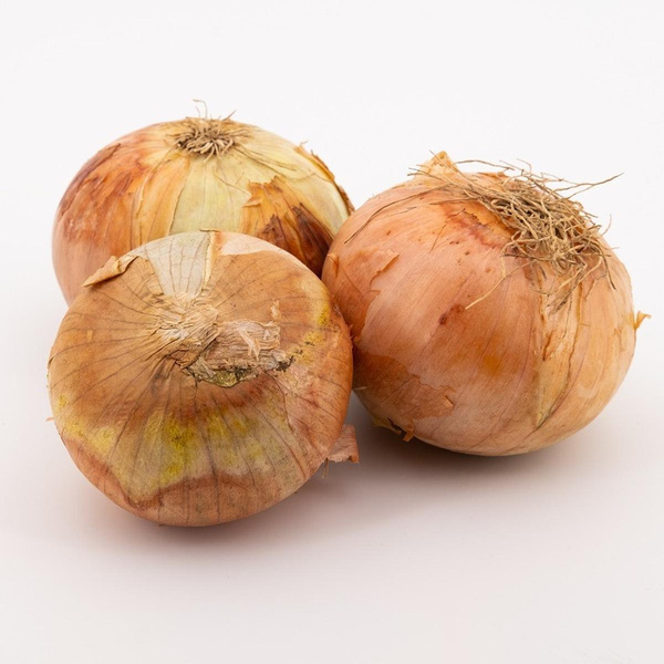 Produktfoto zu Gourmet-Zwiebeln gelb, regionale Ernte