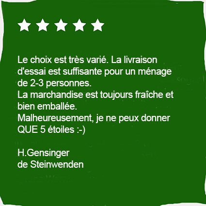 KI generiert: Fünf-Sterne-Bewertung mit positivem Text zu Lieferung und Frische von H. Gensinger aus Steinwenden.
