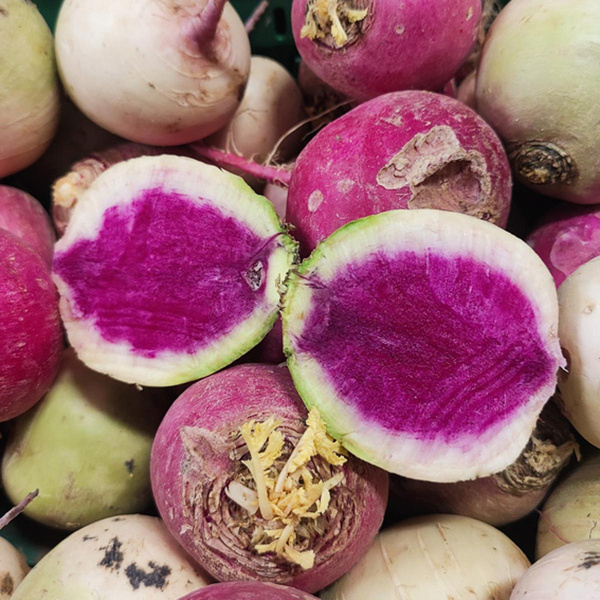 Photo de produit pour Radis "melon", récolte régionale