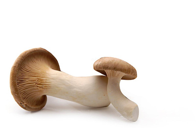 product photo for king oyster mushrooms