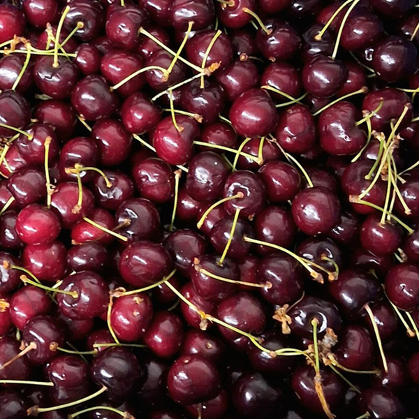 Photo de produit pour Cerises, rouges