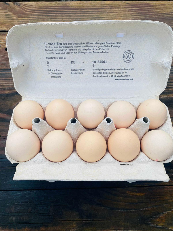 product photo for Eggs Zenner, 10 pieces