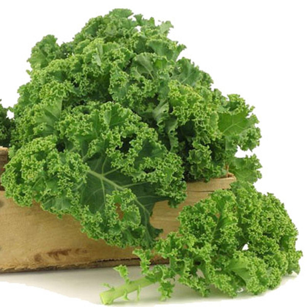 Photo de produit pour Chou frisé