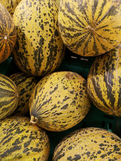 Produktfoto zu Melone "Thrakis"