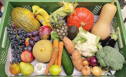 Produktfoto zu Familien-Kiste