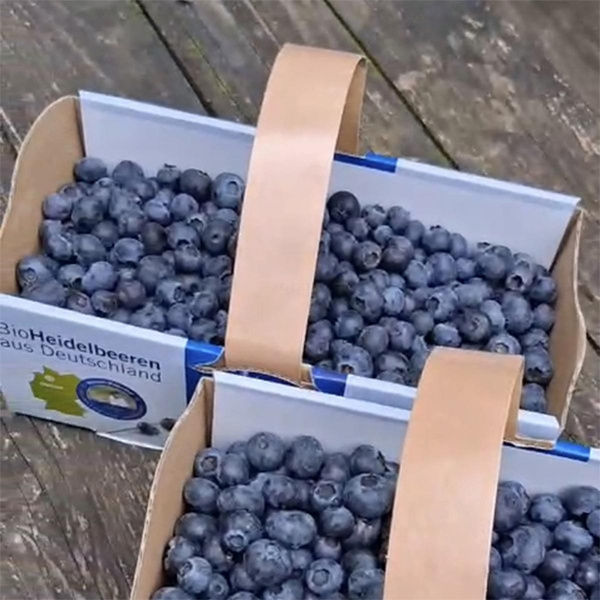 Produktfoto zu Heidelbeeren im 1kg Korb