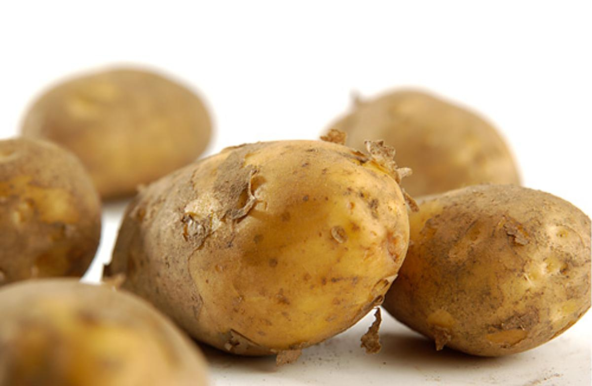 Kartoffeln festkochend, regionale Ernte